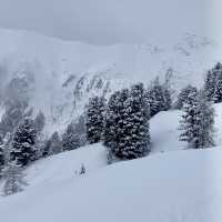 A Week of Skiing Bliss ❄️