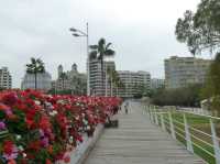Valencia beyond the City of Art and Sciences