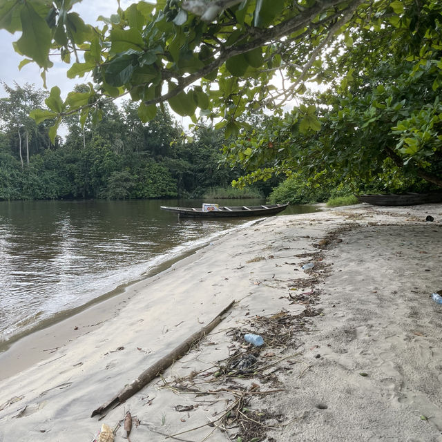 Marvel at the Majestic Chutes de la Lobé 🌊🌴