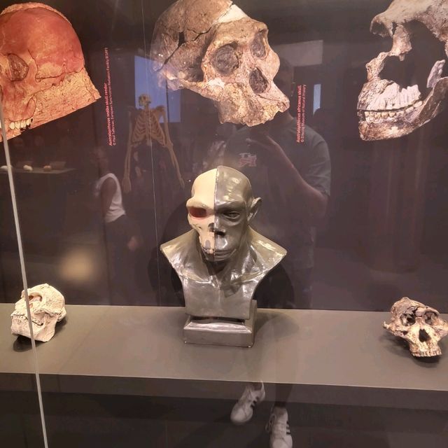 Cradle of humankind is a must vist