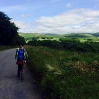 A Walk in the Wild: Dartmoor