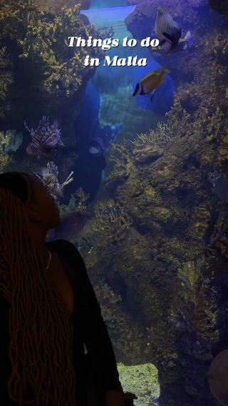 Exploring St. Paul’s Bay & the Malta National Aquarium 🐠🌊