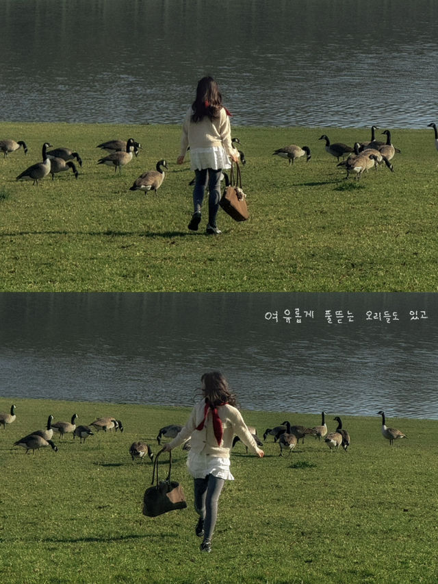 프랑스 소도시 베르사유 즐기는 방법🇫🇷