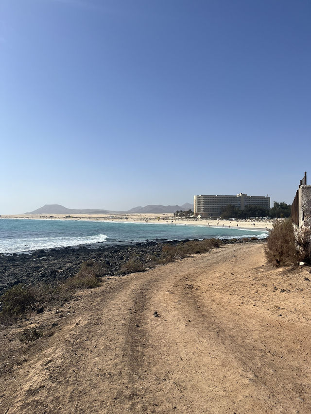 Paradise in Corralejo Fuerteventura 🇪🇸