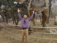 Must-visit places in Anshan Zoo