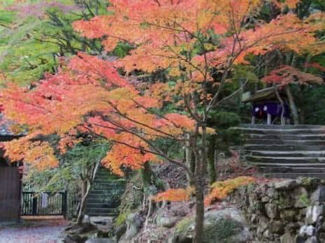 An ancient temple with a beautiful vermilion-painted Taho Pagoda and the a