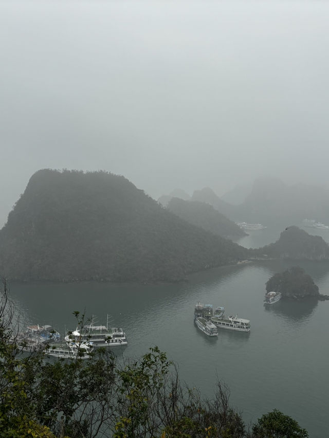 Misty Halong 