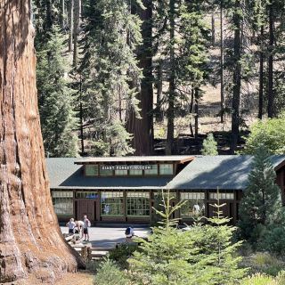 🚗 Transportation Tips for Visiting Sequoia National Park