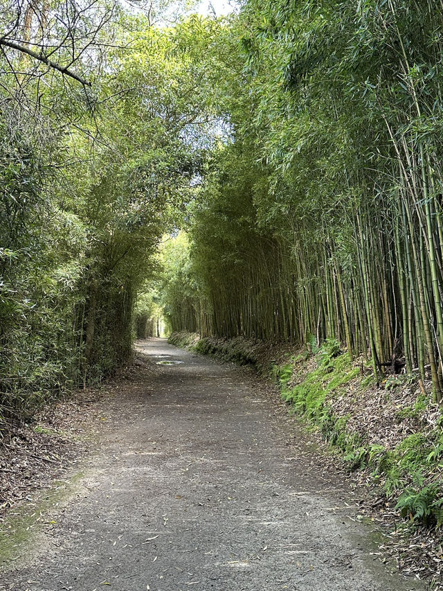 The Azores are one of the best hiking destinations in the world. 