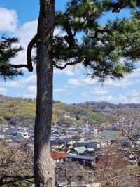Kanazawa in 3 Days: A Cultural Feast (With Curry on Top!)