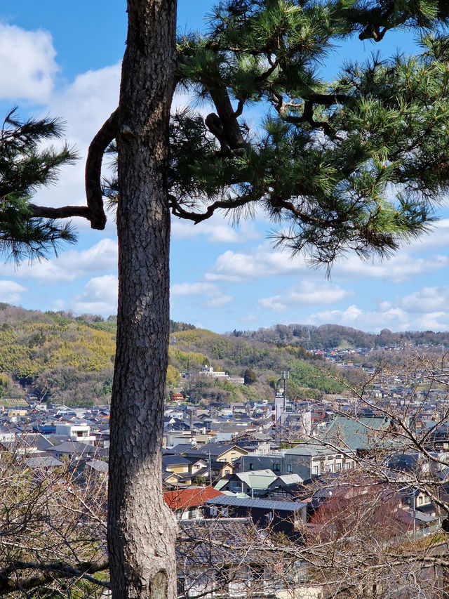 Kanazawa in 3 Days: A Cultural Feast (With Curry on Top!)