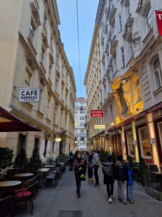 This place is the soul of Vienna 🇦🇹🕍