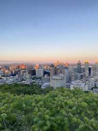 Royal Park, Montreal : an amazing park 