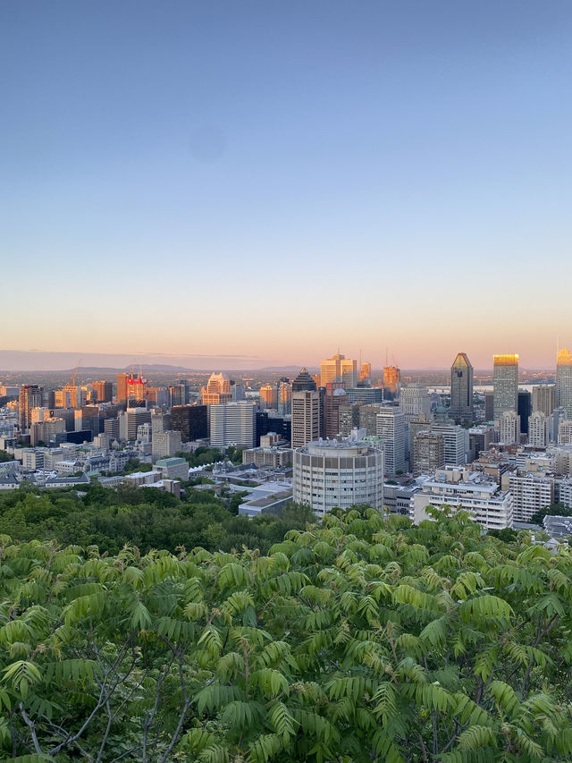 Royal Park, Montreal : an amazing park 