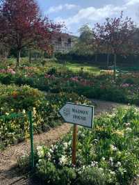 🎨 Giverny Garden: Monet’s Masterpiece in Bloom 🌸