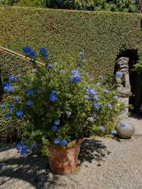 Isola Madre: The Secret Garden of Lake Maggiore