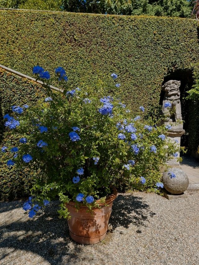 Isola Madre: The Secret Garden of Lake Maggiore