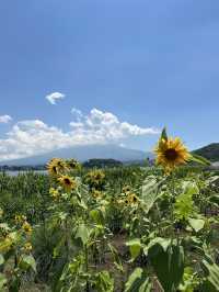 富士山六大熱門點·日川時計店·山中湖·羅森·沉浸式美景一日遊