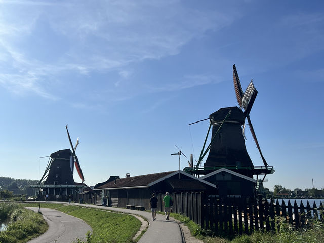 🇳🇱 荷蘭桑斯安斯風車村(Zaanse Schans)🐄 🇳🇱 荷蘭桑斯安斯風車村(Zaanse Schans)🐄