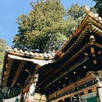 Nikko Day Trip: Temples, Nature & Timeless Japan