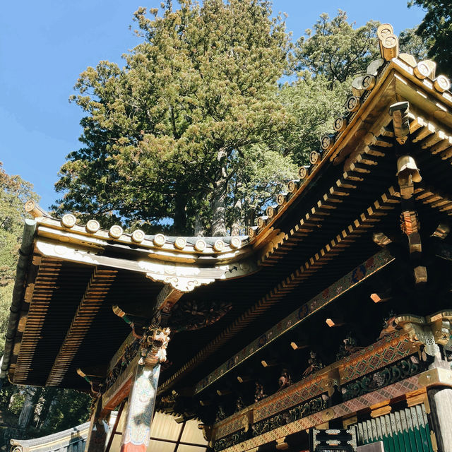 Nikko Day Trip: Temples, Nature & Timeless Japan