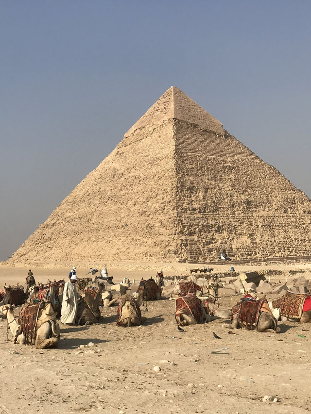 Spent my entire day deep in the Wonders of the Giza Pyramids!