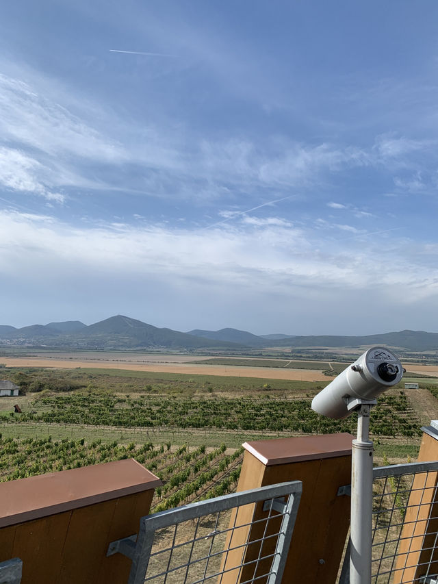 🍇 Tokaj: Land of Legendary Wine