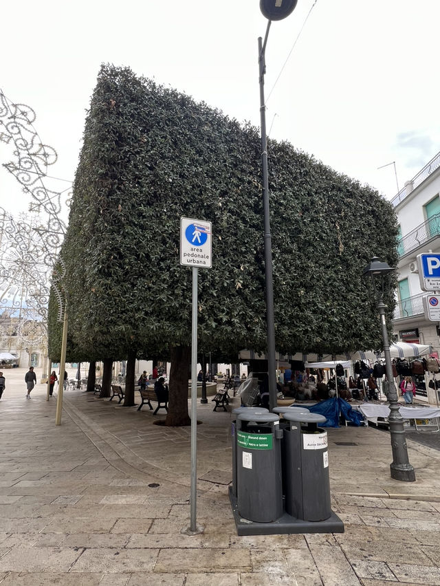 終於嚟到南意大利Bari-Alberobello（蘑菇村）