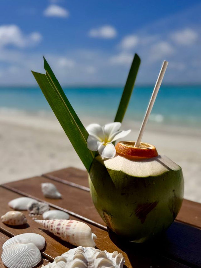 Cocoon Maldives — Where Luxury Meets the Art of Doing Nothing
