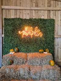 Stouslie Farm Pumpkin Patch, Hawick – A Scenic, Family-Friendly Autumn Adventure