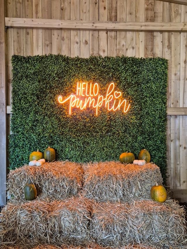 Stouslie Farm Pumpkin Patch, Hawick – A Scenic, Family-Friendly Autumn Adventure