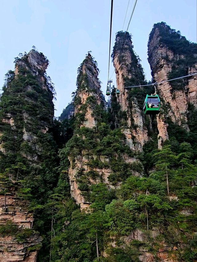 Как Увидеть парк Аватар без толп!