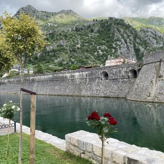 Kotor in One Day