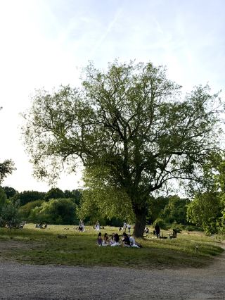 如何在倫敦漢普斯特德度過一個輕鬆的夏日