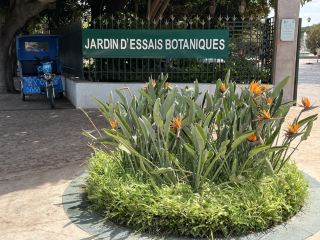 National Botanical Gardens, Rabat