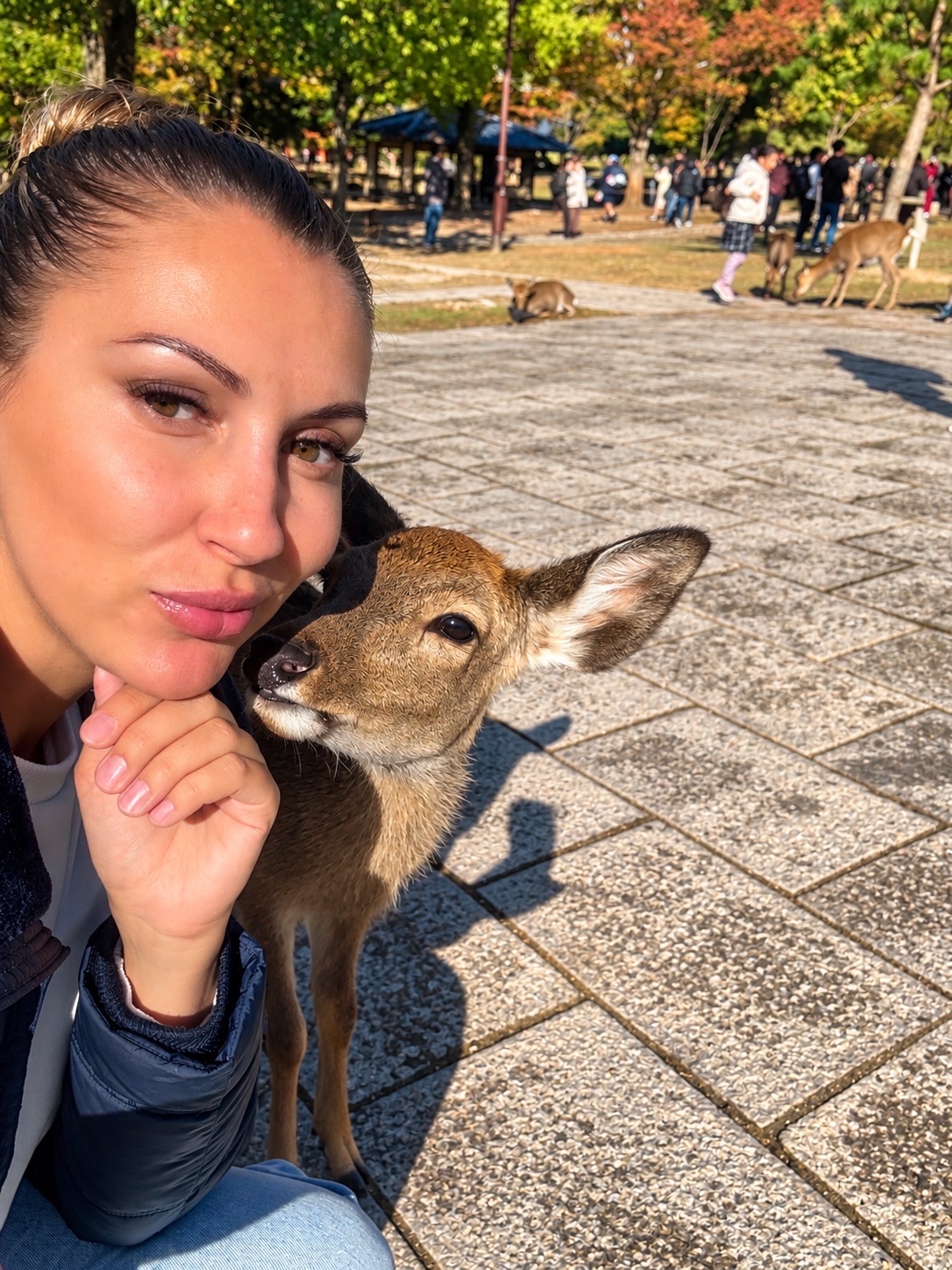 🦌Nara Park, my advice - don't feed the deer at the park entrance!)