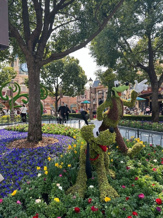 Springtime Shanghai Disney Resort🐭🎡🎪