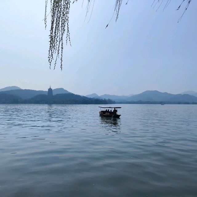 Ducks!!! 🇨🇳 Hangzhou West Lake