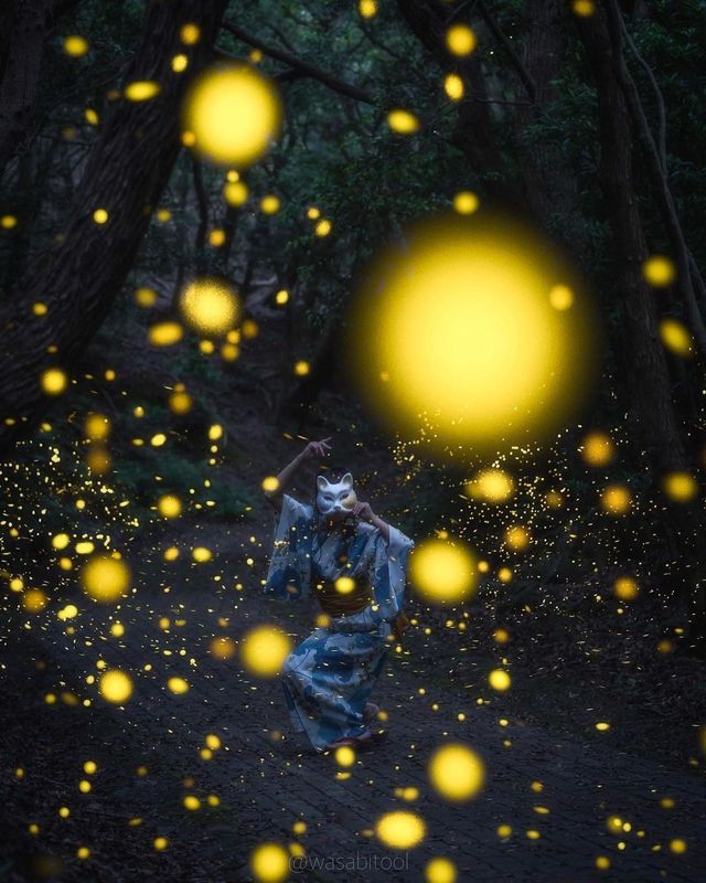 Fun fact: Fireflies in Japan
