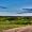TheaHolm&