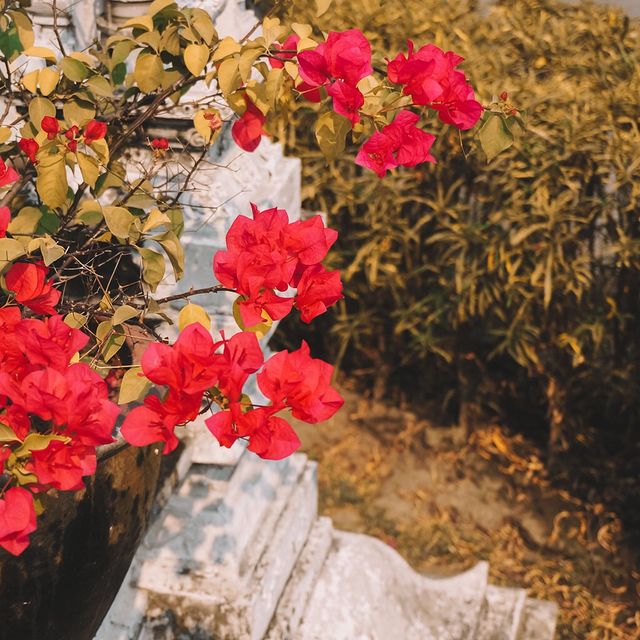 遊清邁🇹🇭柴迪隆寺