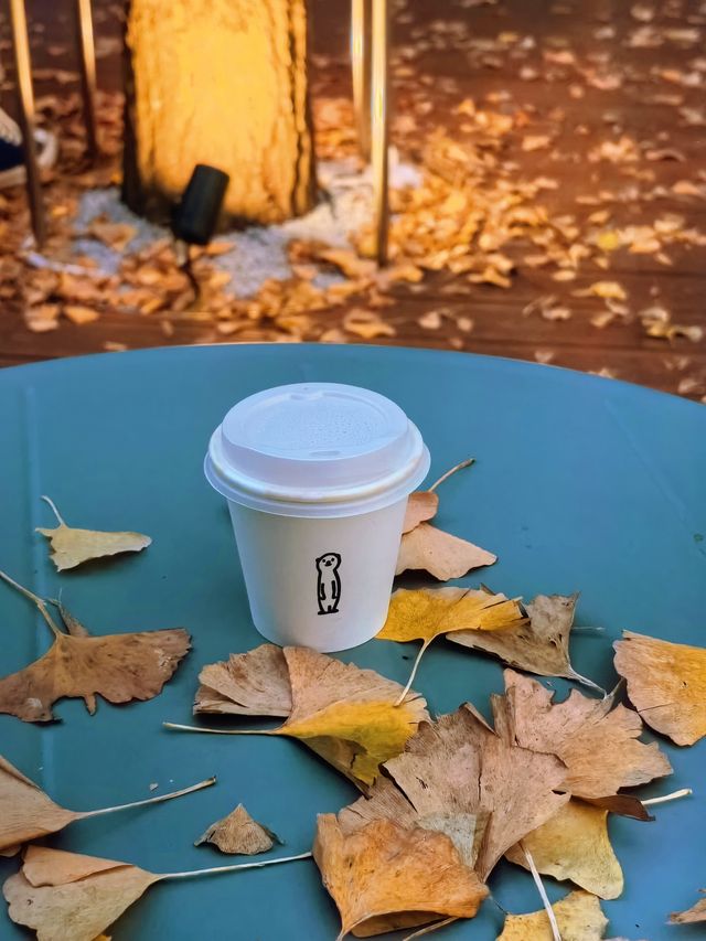 秋葉飄落，咖啡飄香