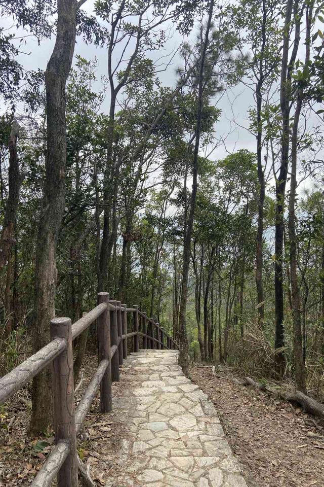 石蔭上針山．道風山尋十字架