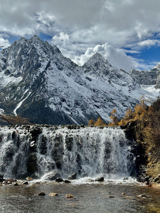 川西旅行｜錯過又要等一年的彩林