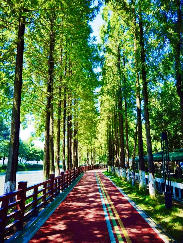 Sichuan Chengdu | Anjing Shu Embroidery Park | Camping Base