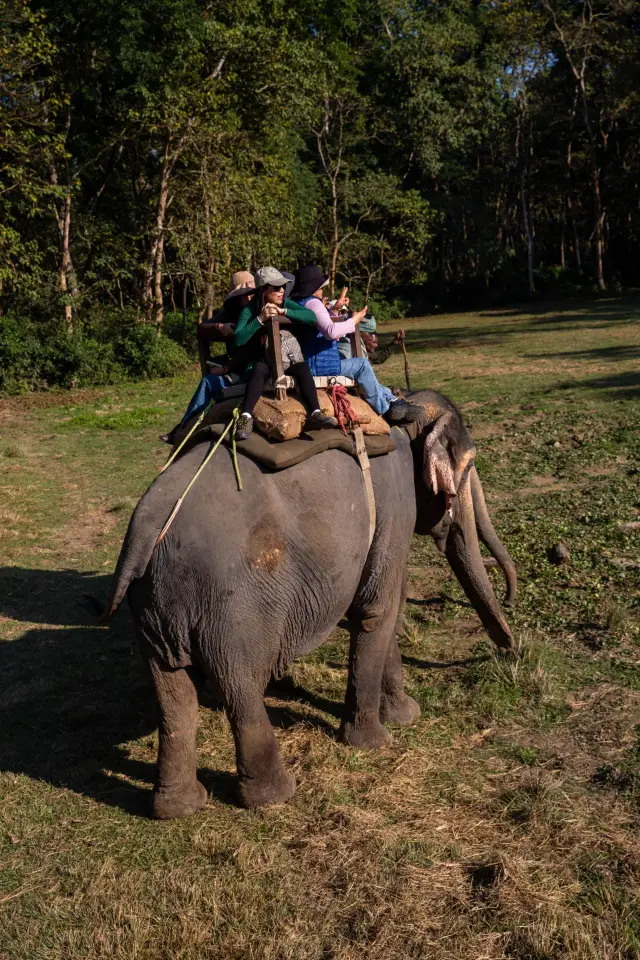 First experience of Chitwan Forest Tour