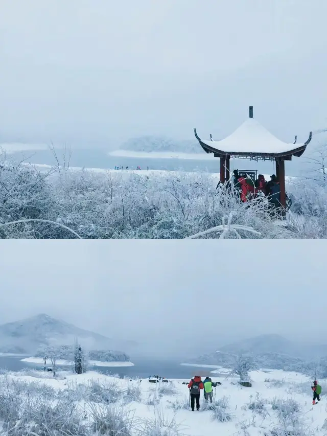 不是哈爾濱去不起，而是杭州雪景也超美!