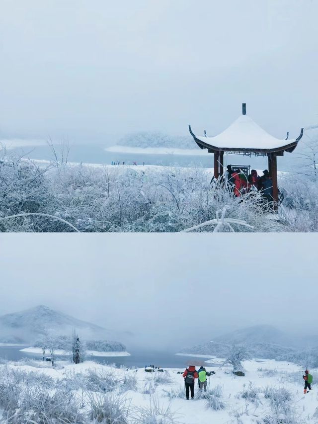 不是哈爾濱去不起，而是杭州雪景也超美!