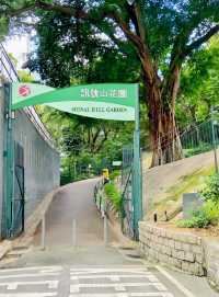 姊妹們香港！這才是看海該去的地方