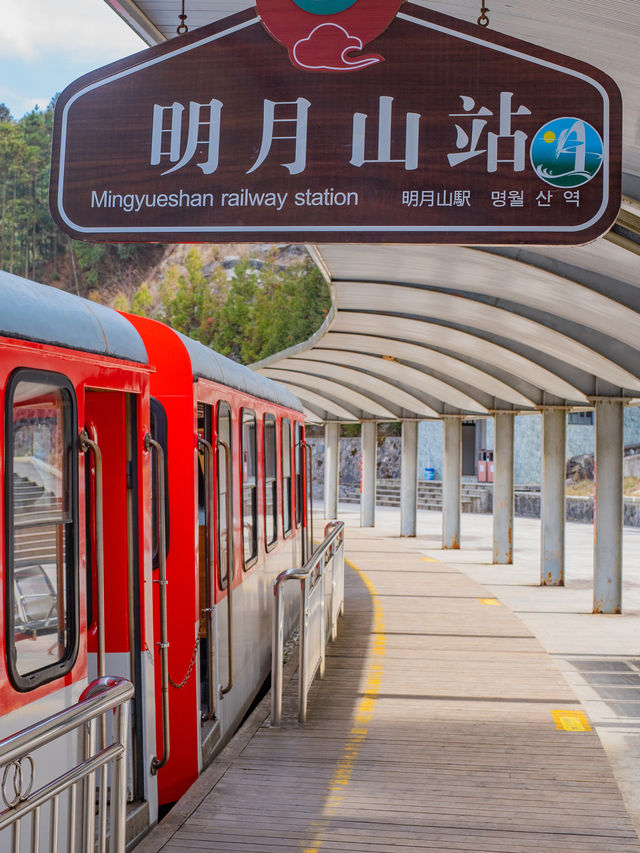 冬遊江西明月山，旅行體驗精彩紛呈